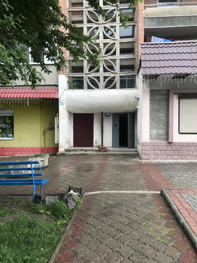Чудова Квартирка В Кам'Янці -Подільському Kamianets-Podilskyi Ngoại thất bức ảnh